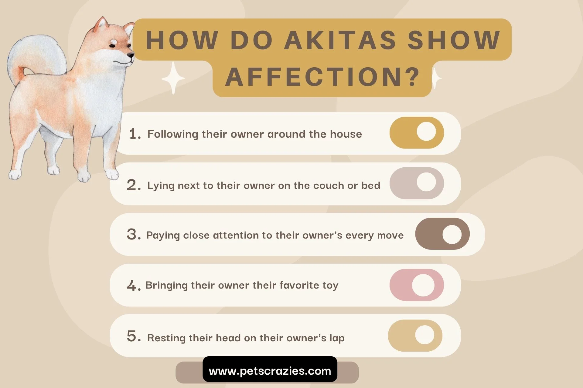 ways in which Akitas Show Affection