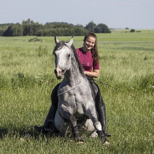 Female Silver Horse Names