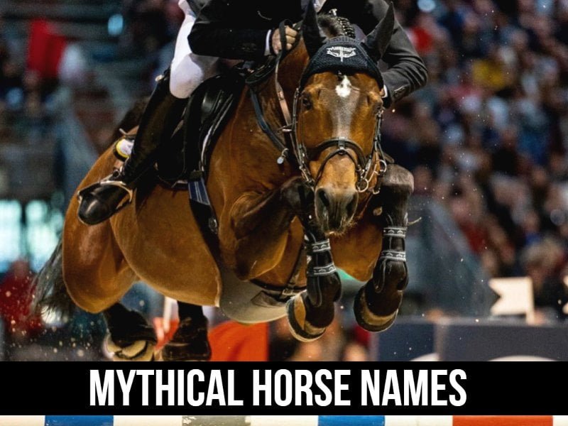 Mythical Horse Names