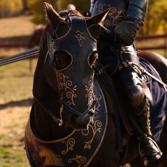 Warhorse Names: 300+ Epic Monikers for Your Noble Steed