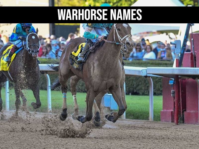 Warhorse names