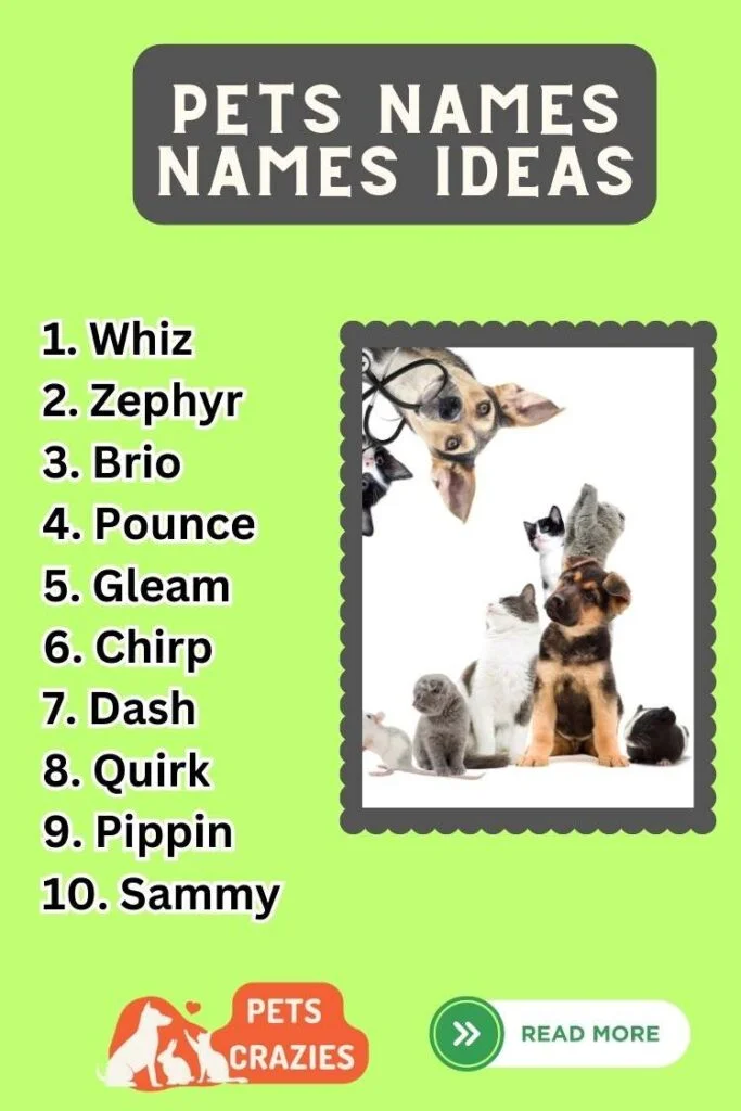 Creative Unisex Pet Ideas List