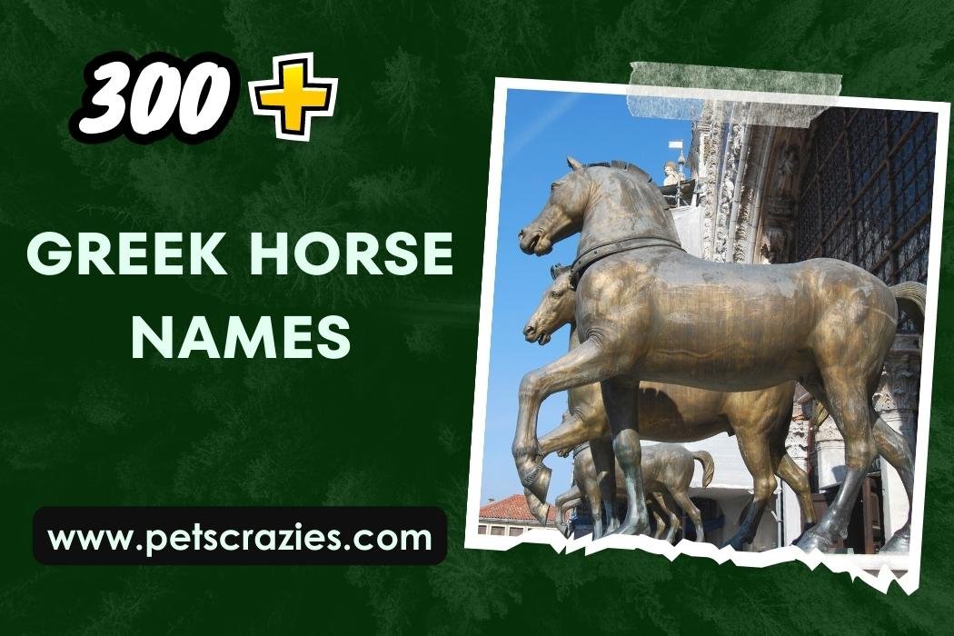 300-greek-horse-names-inspired-by-greek-mythology