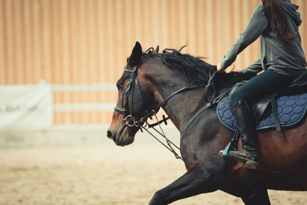 Spirit Horse Names For Stallion 