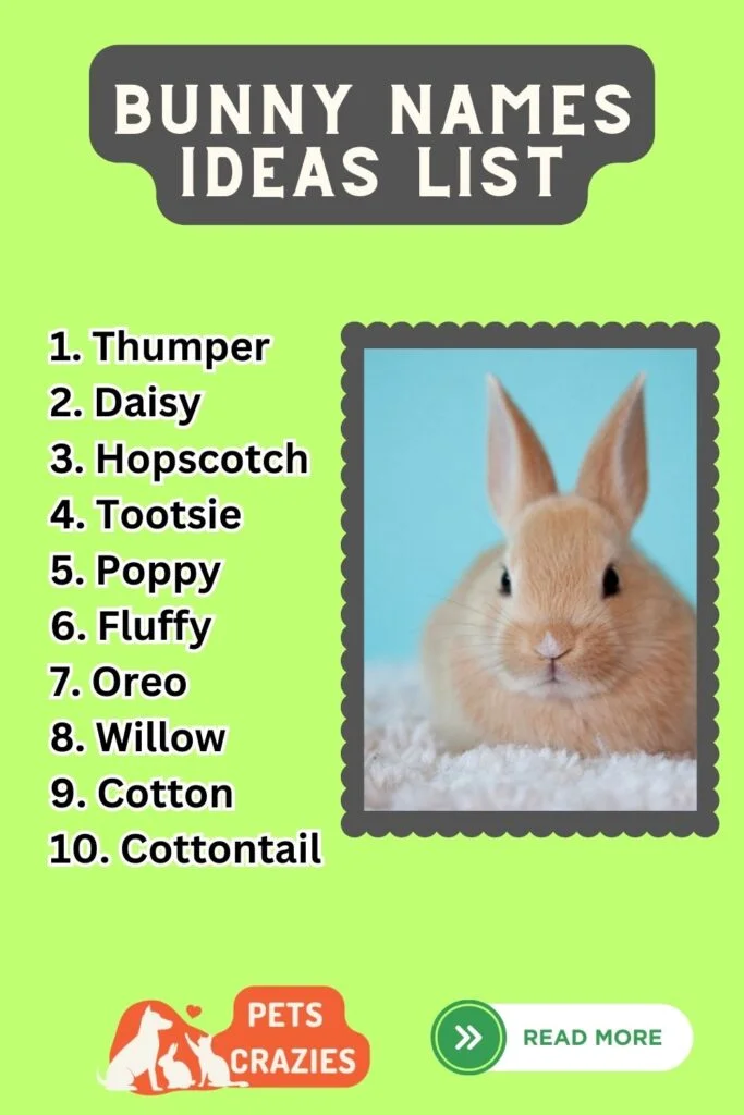 Bunny Names Ideas List