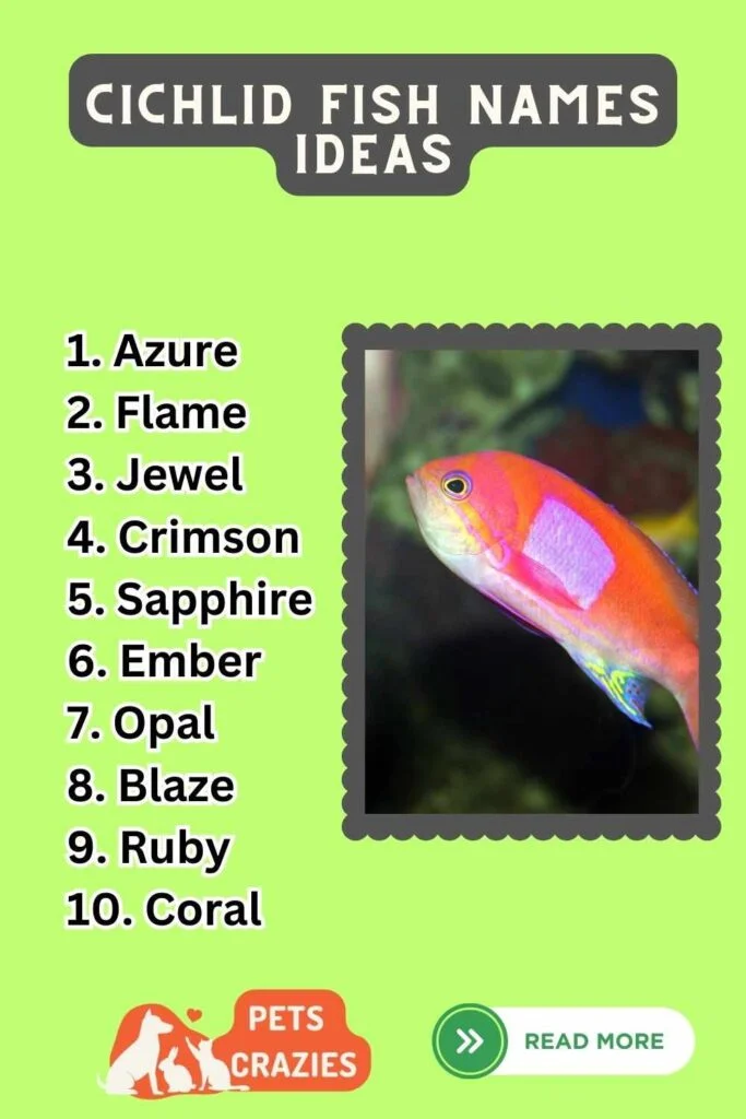 150+ Cichlid Fish Names (Stories Behind Vibrant Hues)