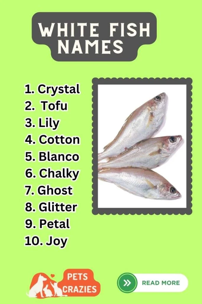Clever White Fish Names Ideas List