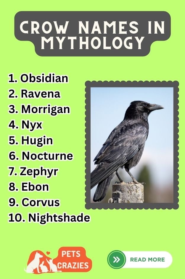 250+ Crow Names In Mythology - Stories Behind Every Caw