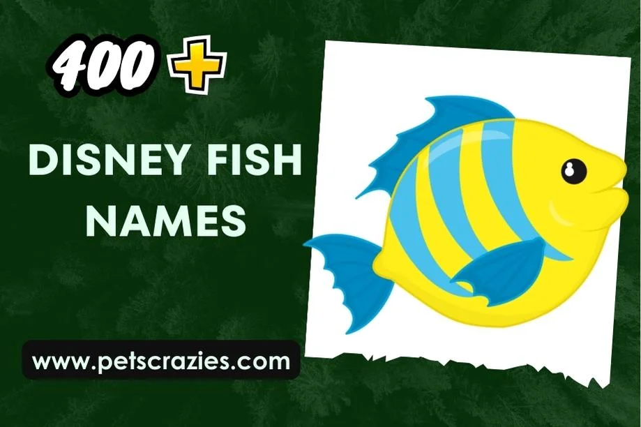 Disney Fish Names