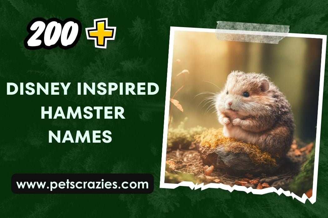 Disney Inspired Hamster Names 