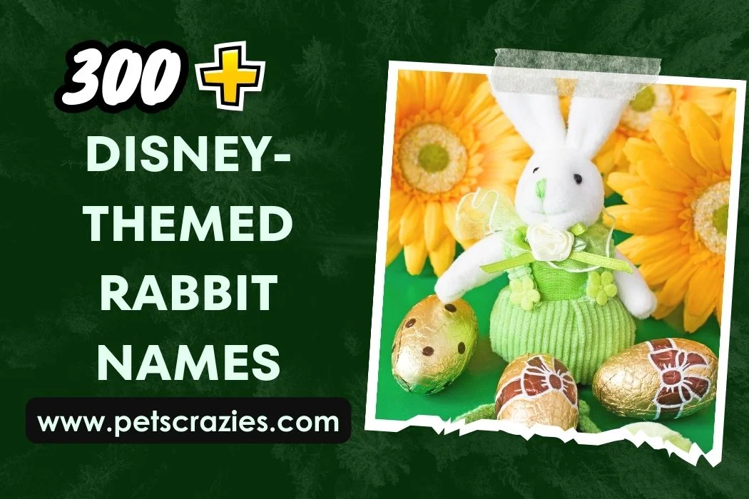 Disney-themed Rabbit Names
