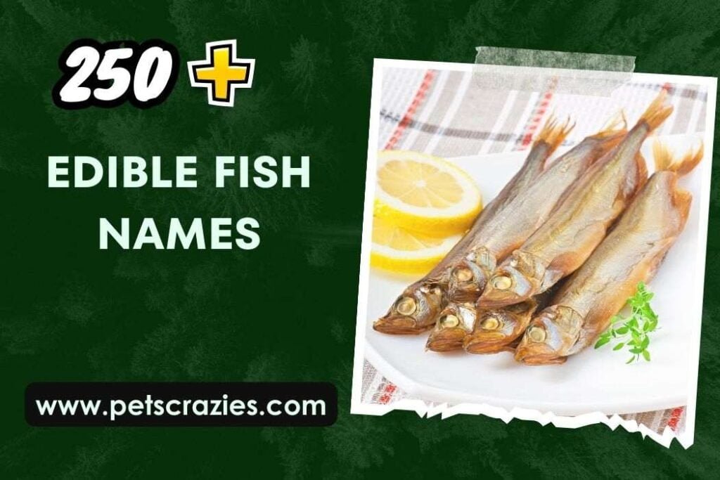 250+ Edible Fish Names (Decoding Your Seafood Menu)