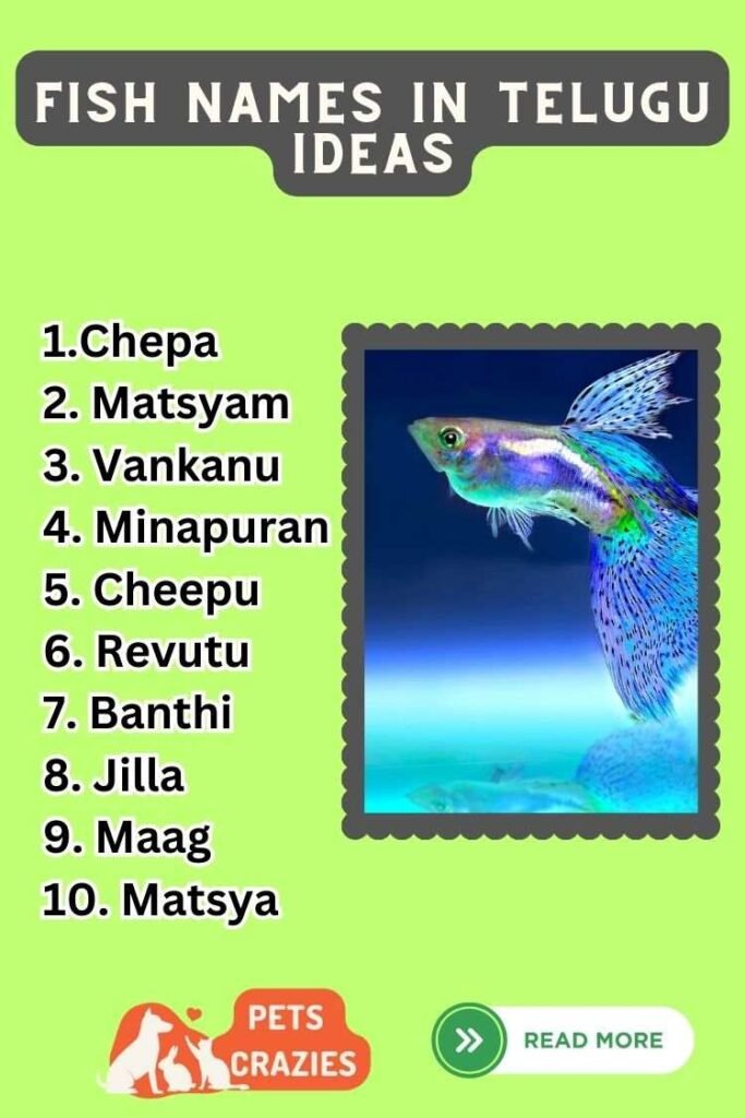 200+ Fish Names in Telugu (Decode the Aquatic Mystery)