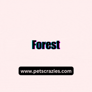 Green Fish Names (400+ Inspiring Ideas for Your Aquarium) 2 our favorite Green Fish Names