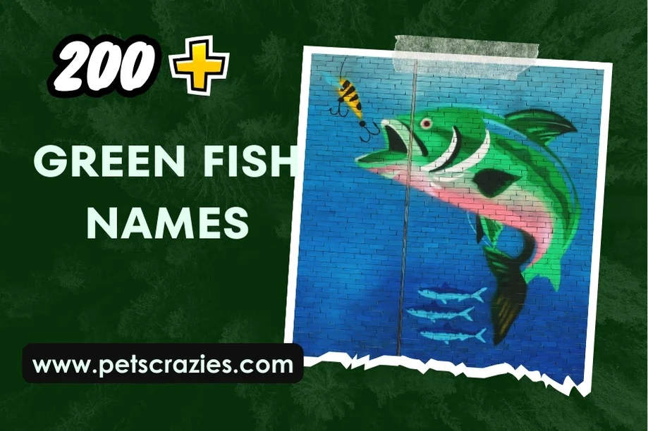 Green Fish Names (400+ Inspiring Ideas for Your Aquarium) 1 Green Fish Names