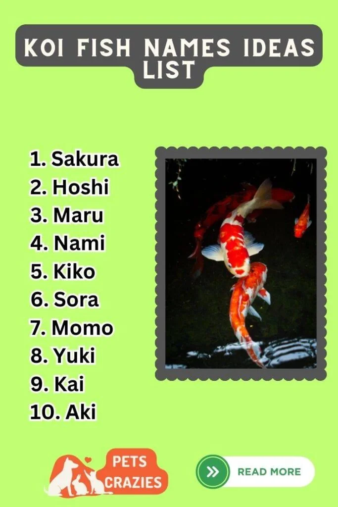 Koi Fish Names Ideas List