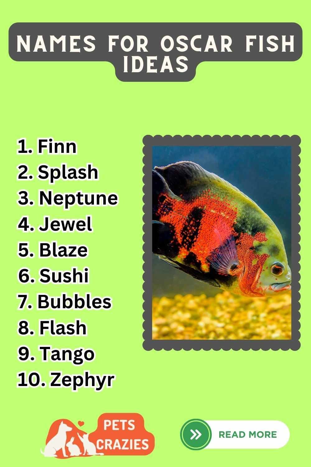 200+ Oscar Fish Names (Personalizing Your Pet's Identity)