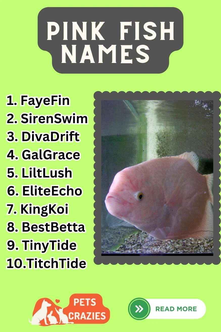 Pink Fish Names Ideas List 