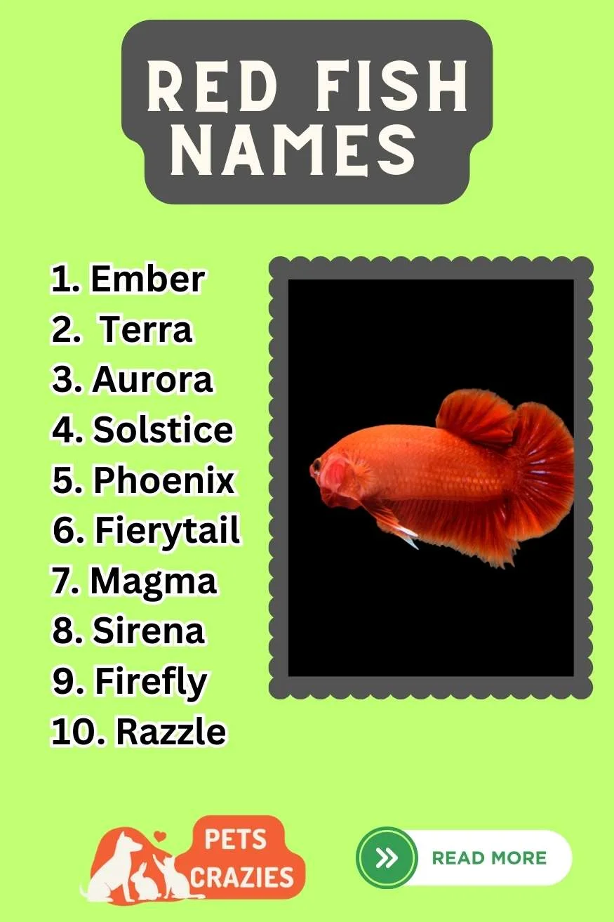 Red Fish Names (300+ Creative Ideas) 3 Red Fish Names Ideas List