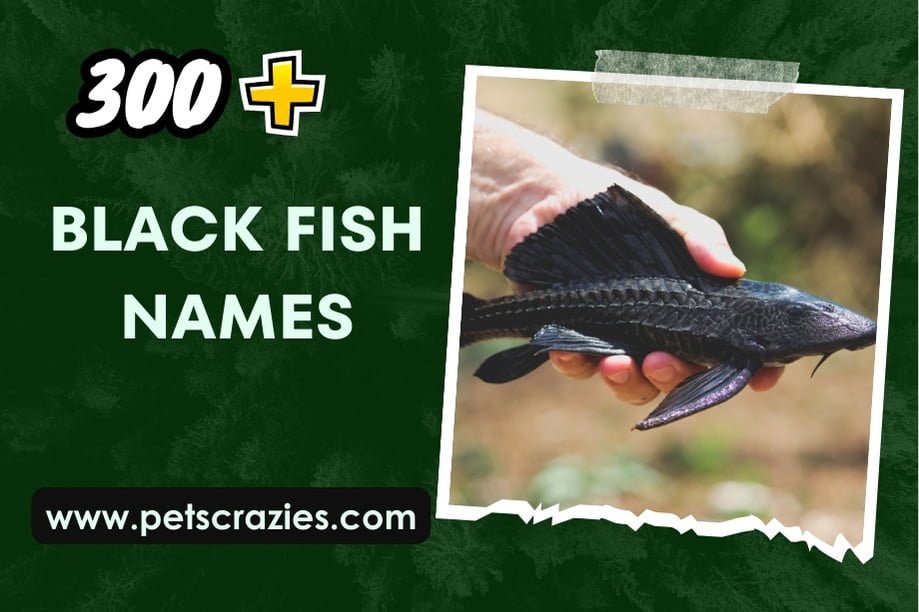 black Fish Names