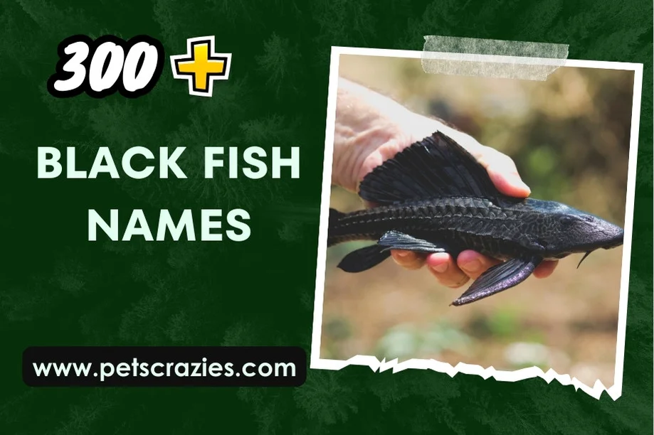 black Fish Names