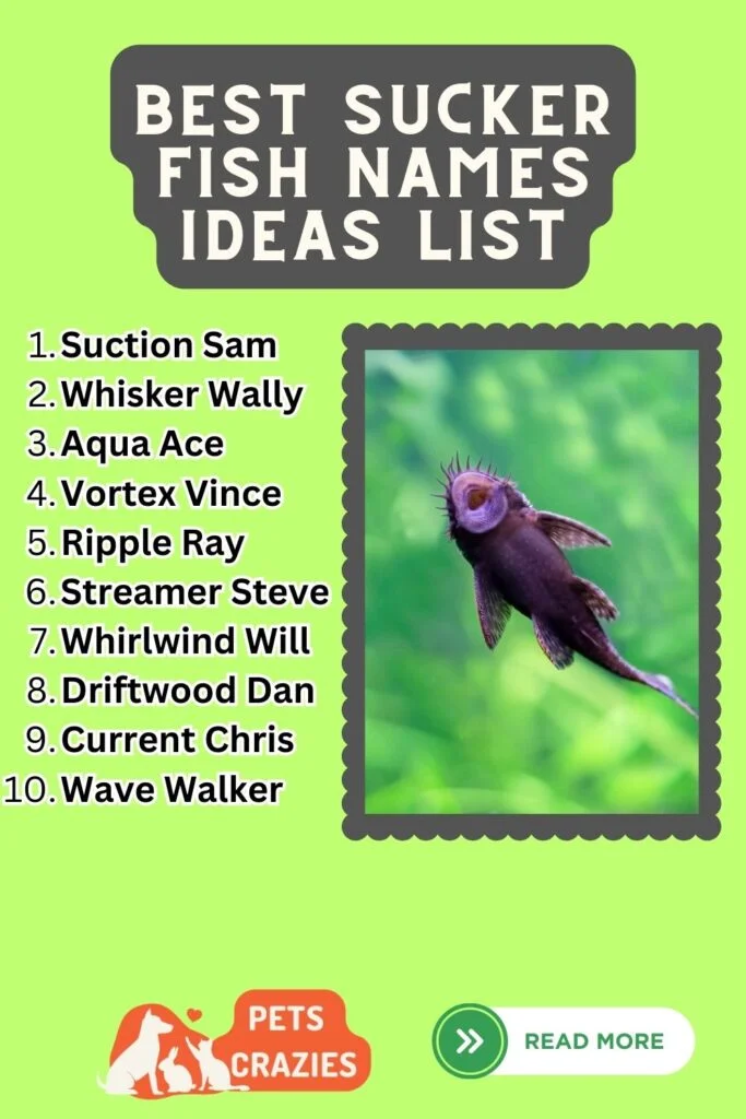 Best Sucker Fish Names Ideas List