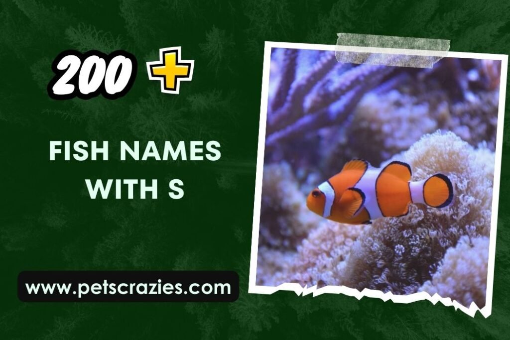 200+ Fish Names with S (Mysteries of the Deep!)