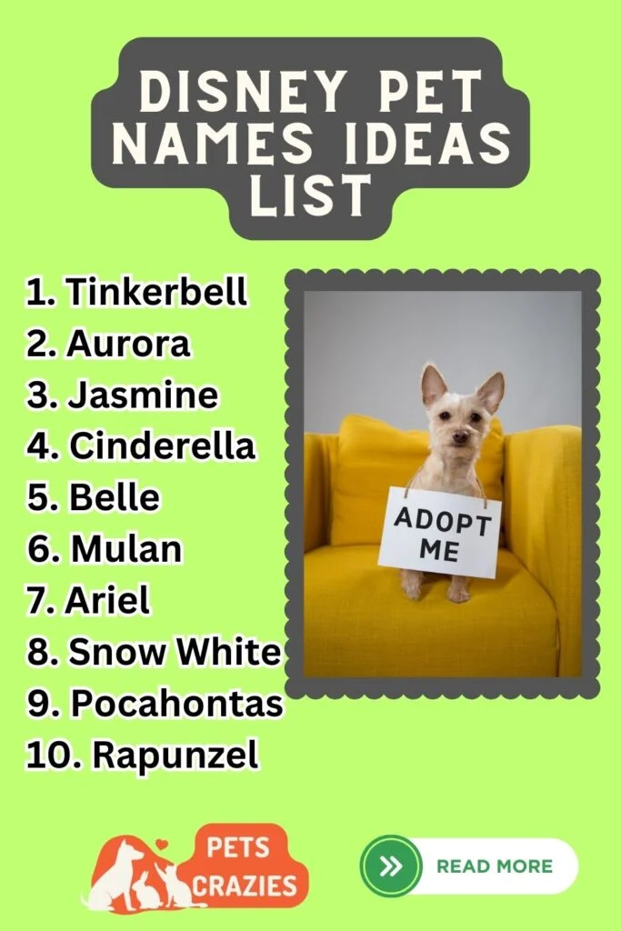 Disney Girl Pet Names Ideas List