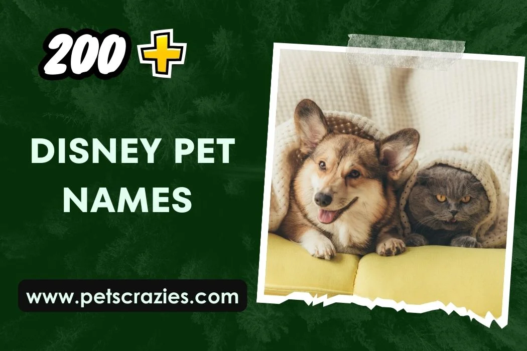 Disney Pet Names
