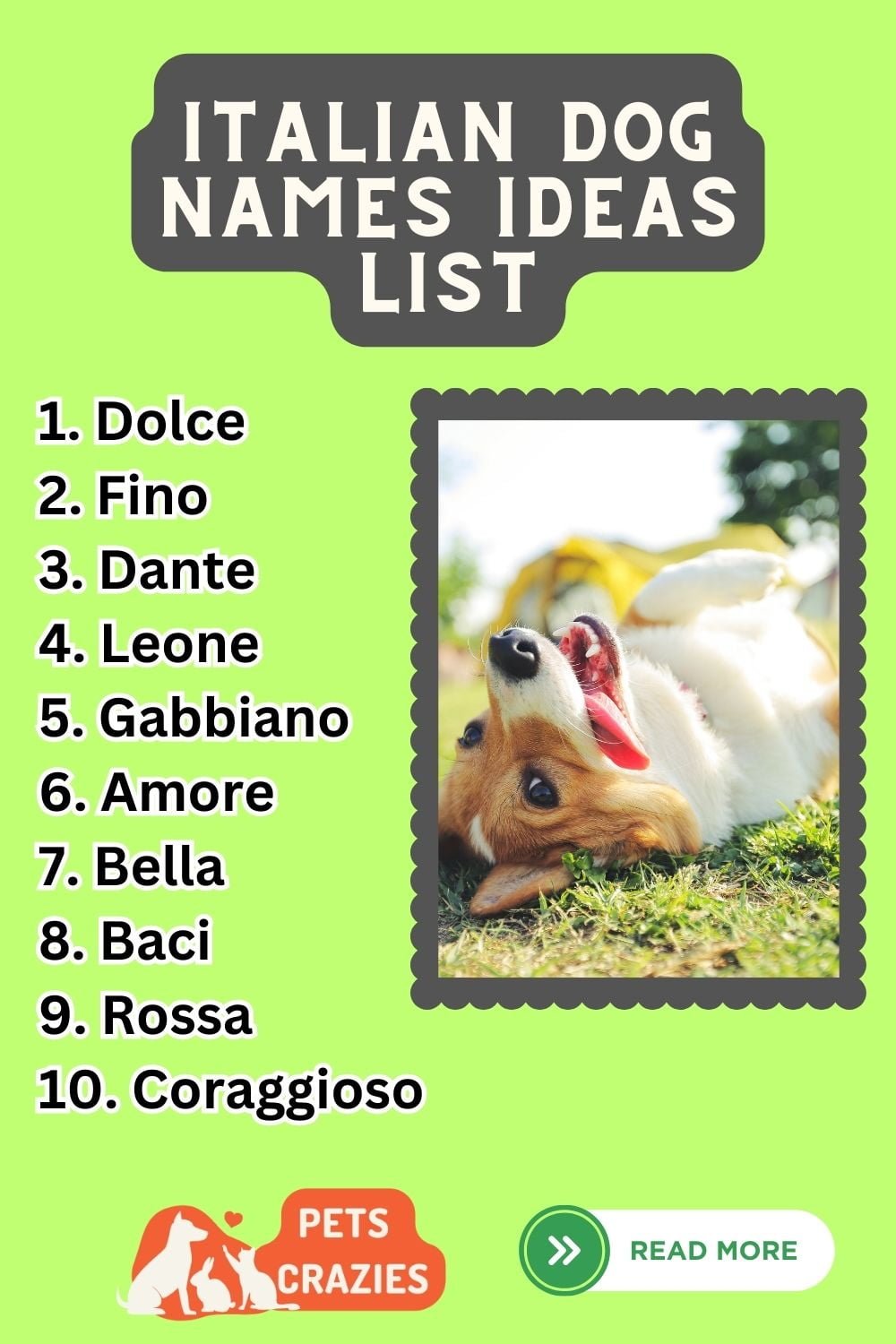 200-italian-pet-names-way-to-express-affection