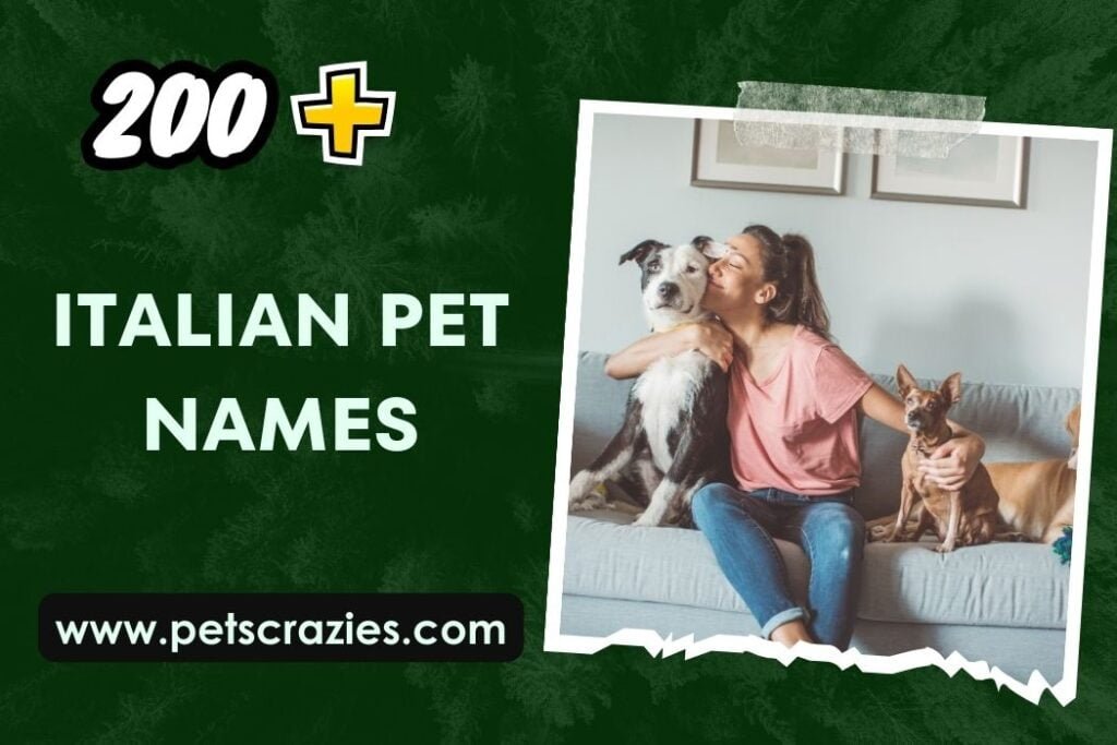 200 Italian Pet Names Way To Express Affection 