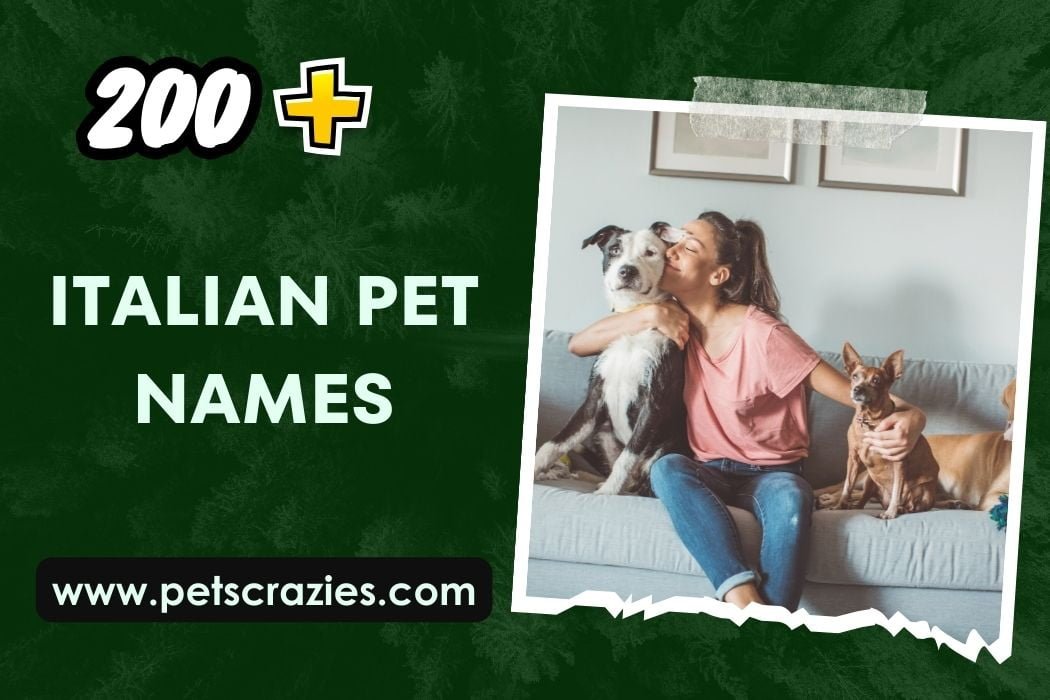 200-italian-pet-names-way-to-express-affection