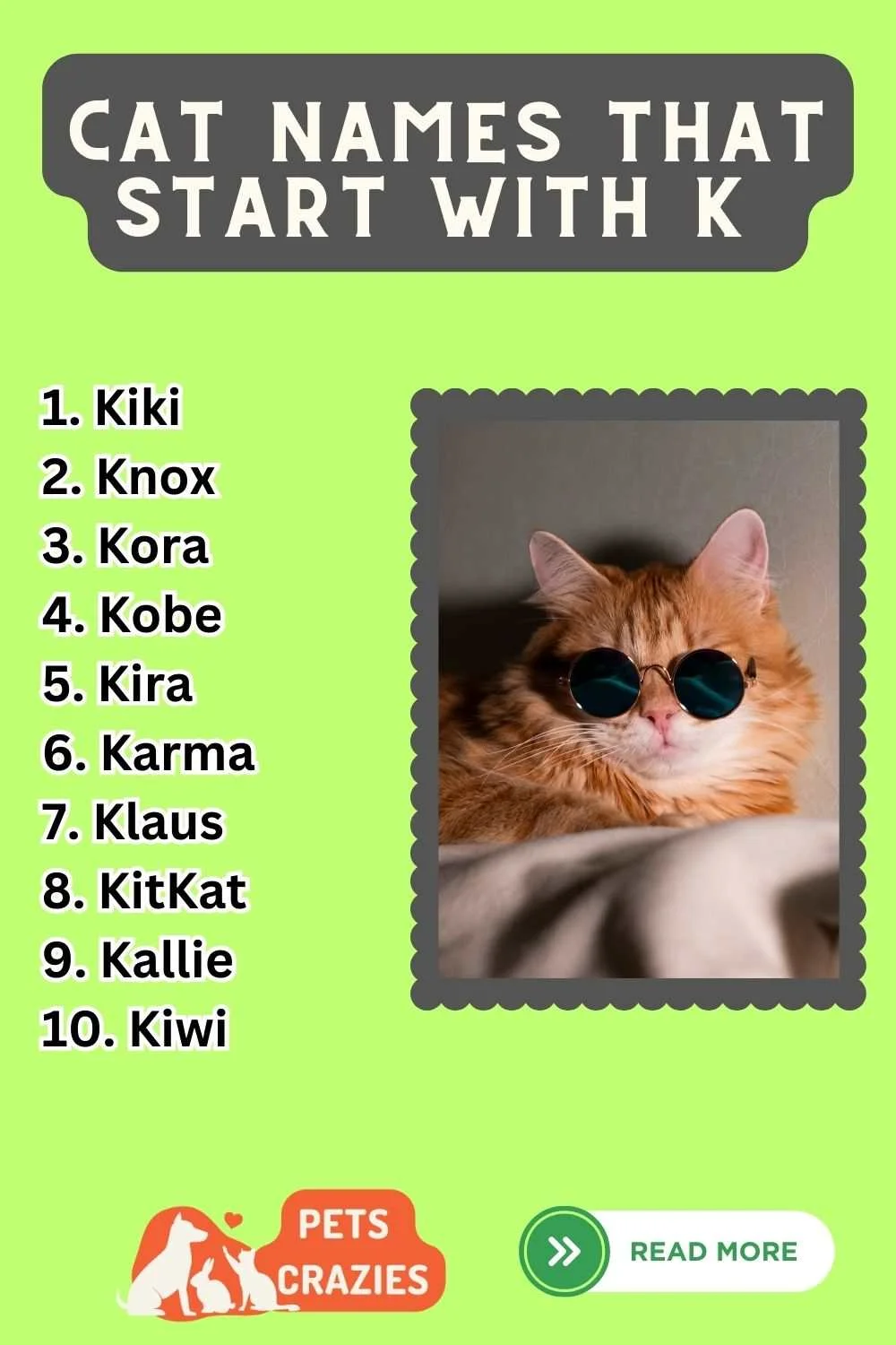 Cat Names That Start With K Ideas List