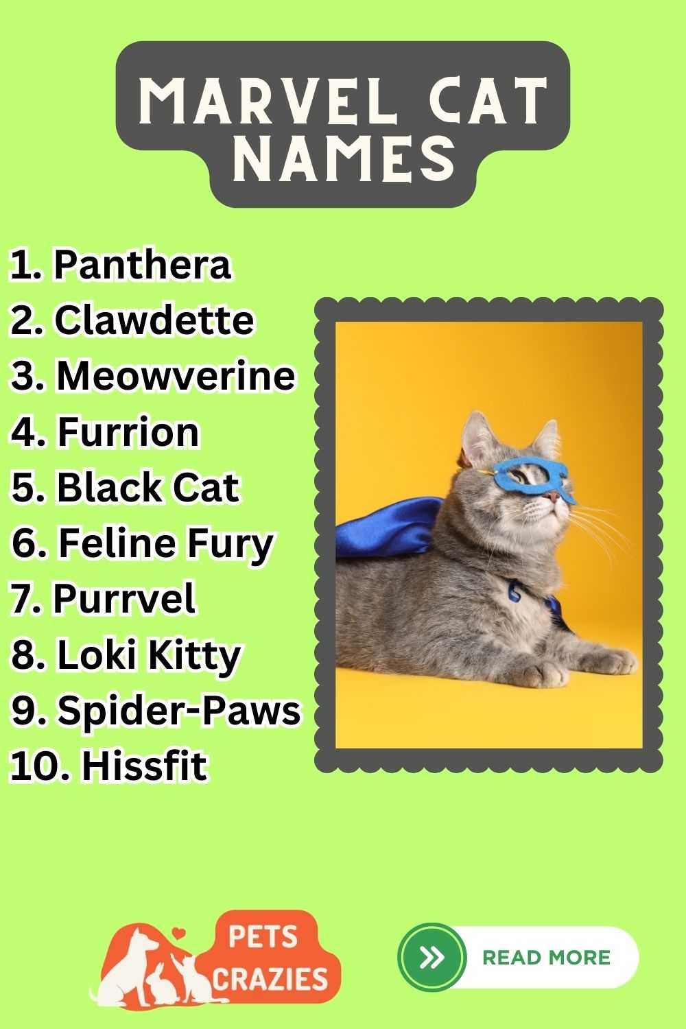 150+ Marvel Cat Names (Inspire Your Pet's Next Adventure)