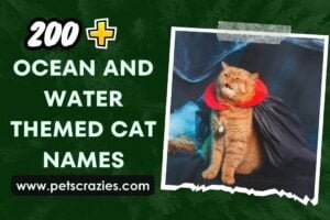Fish Cat Names 200+ Ocean And Water Themed Cat Names