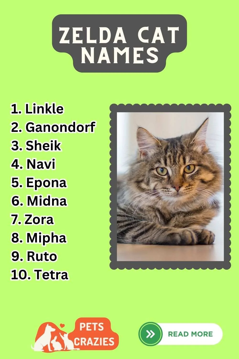Zelda Cat NameS Ideas List