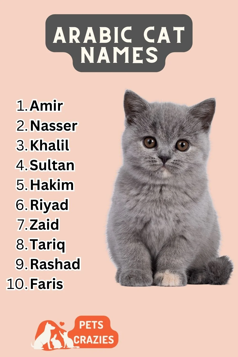 Arabic cat names List