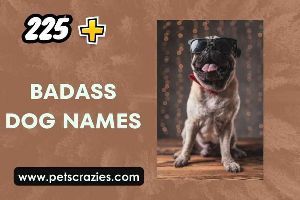 225+ Badass Dog Names - Fierce And Strong Inspirations