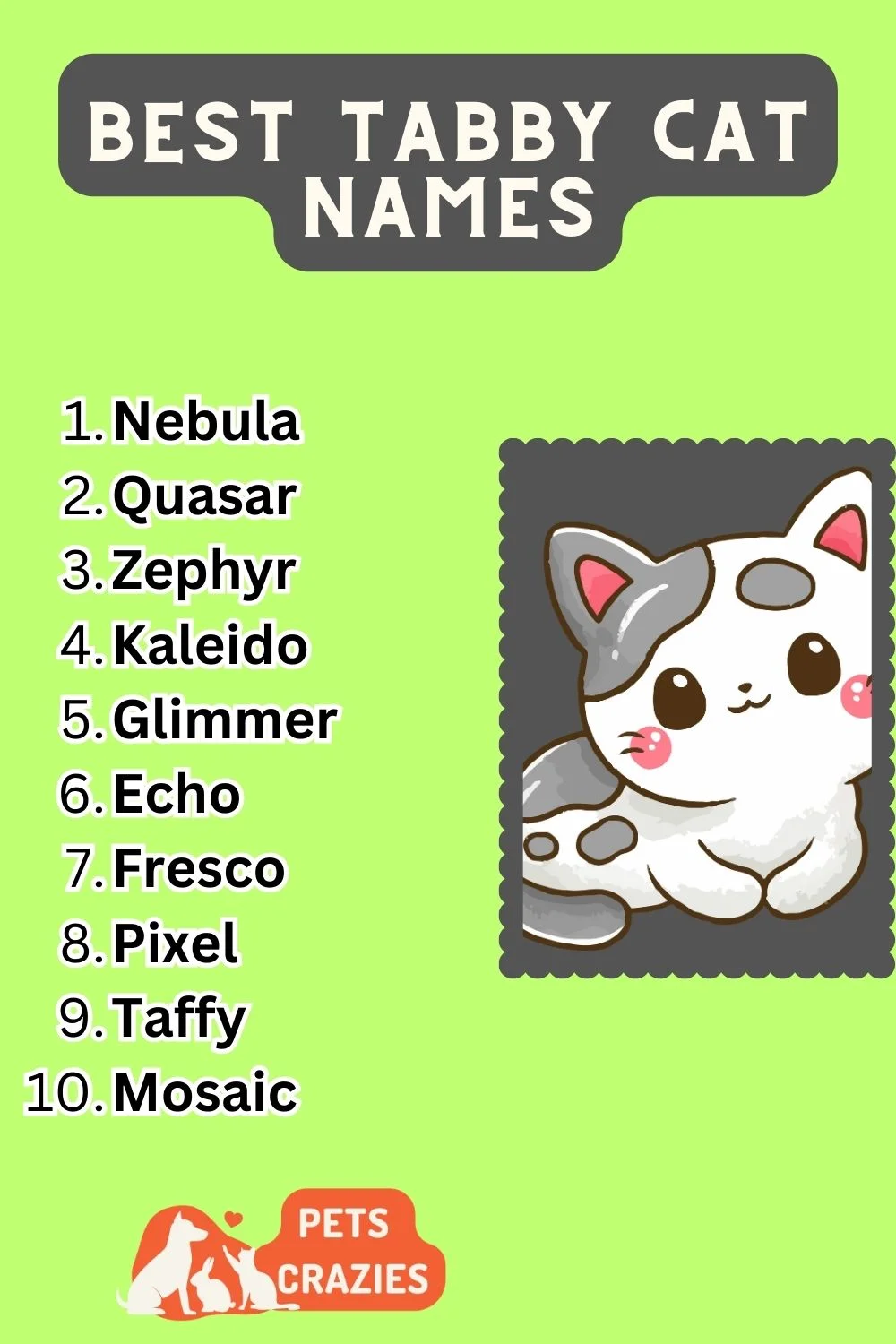 Best Tabby Cat Names List