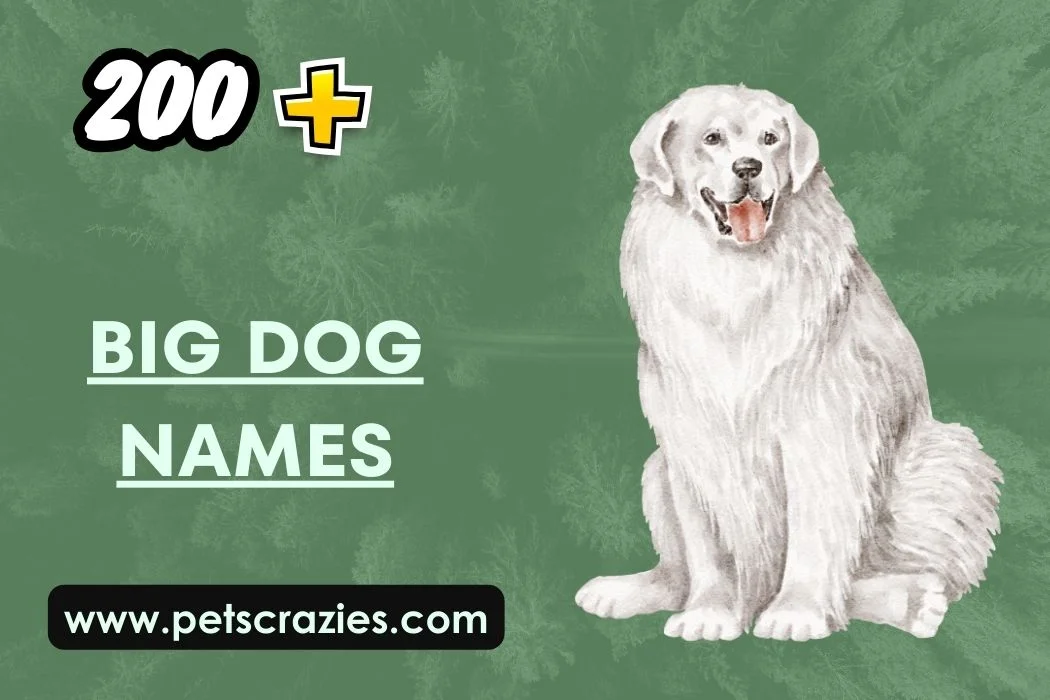 Big Dog Names - Strong & Sturdy Choices 1 Big Dog Names