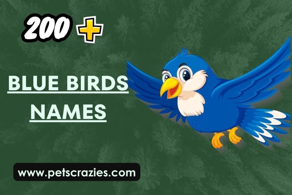 200-blue-birds-names-elegant-unique-ideas