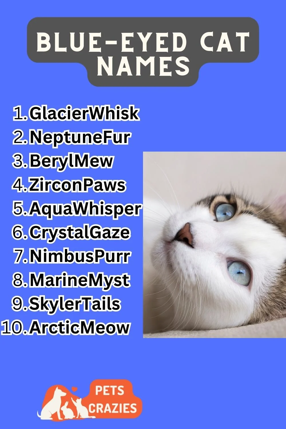 Blue-eyed Cat Names List