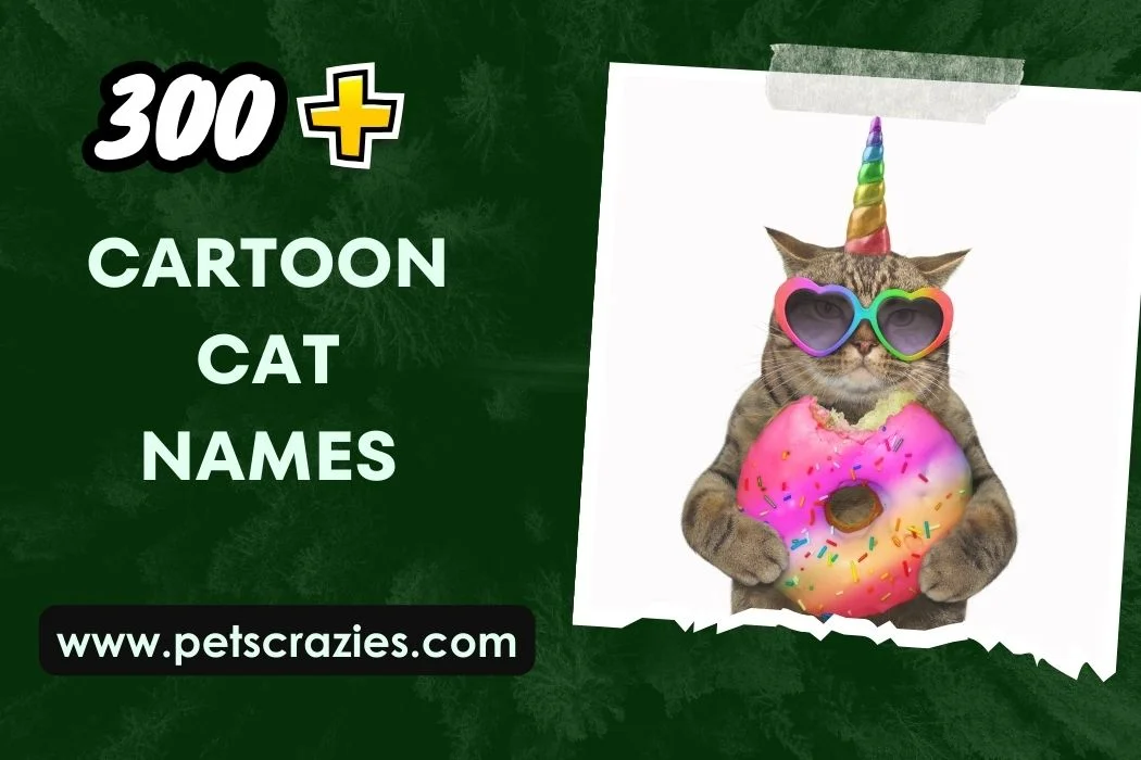Cartoon Cat Names (300+ Nostalgic Picks) 1 Cartoon Cat Names