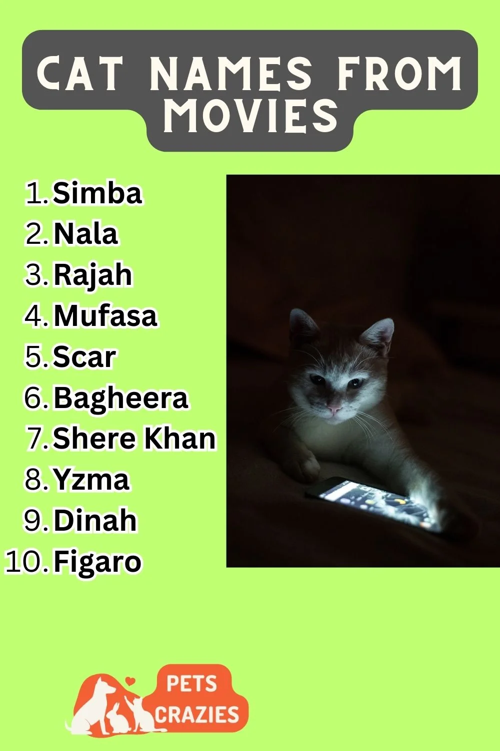 Cat Names From Movies List