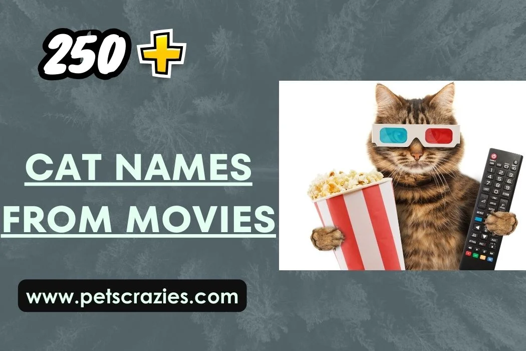 Cat Names From Movies
