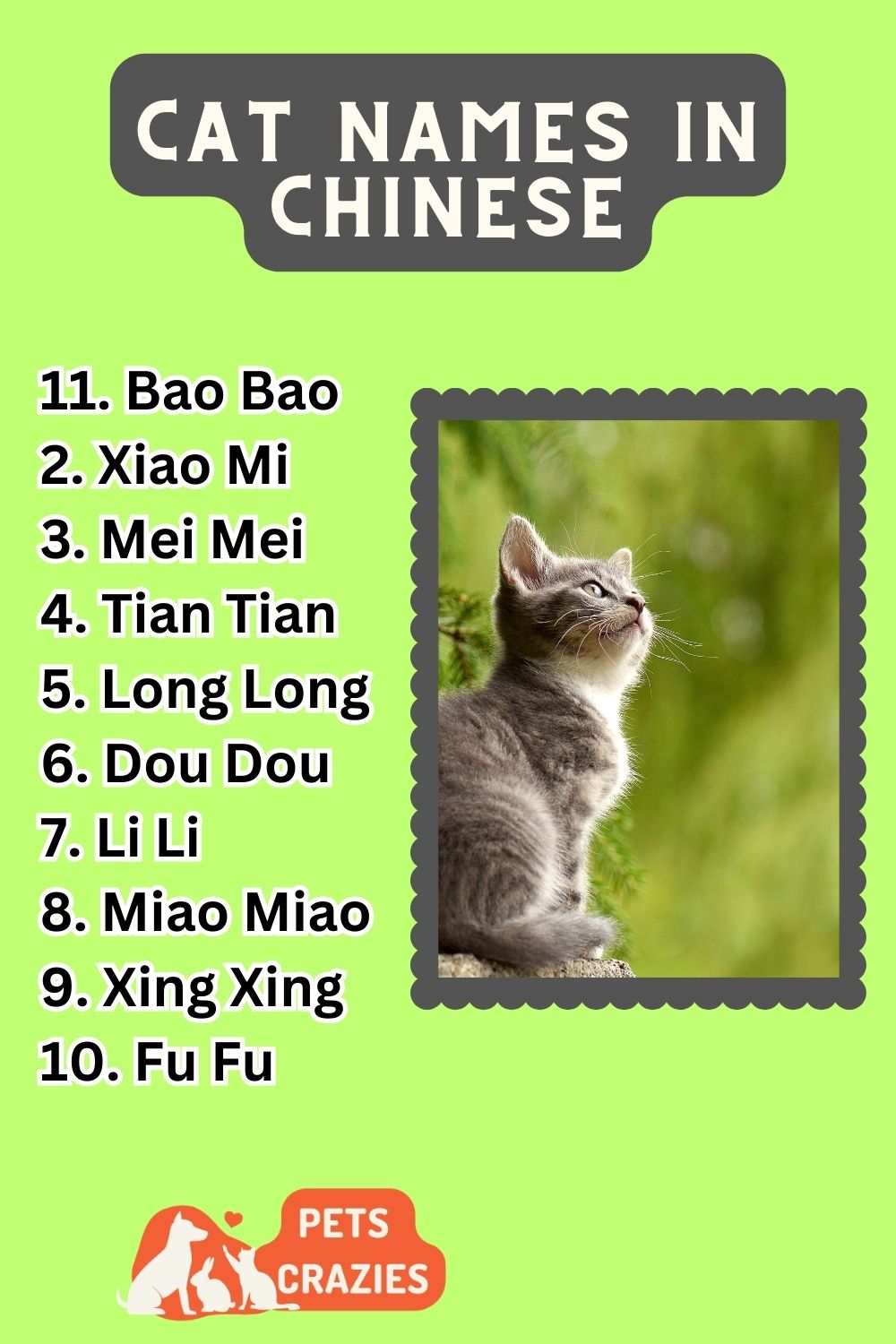 Cat Names In Chinese Ideas List 