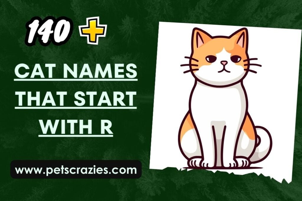150+ Cat Names That Start With R (Funny and Cute Ideas)