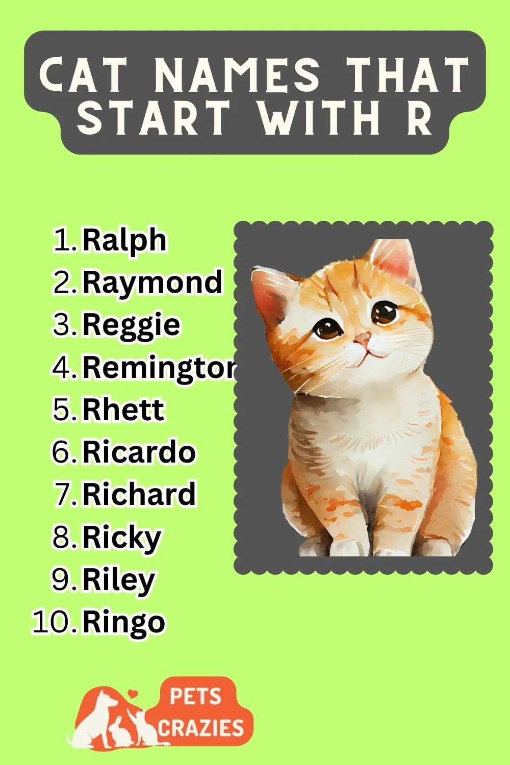 Cat Names That Start With R List