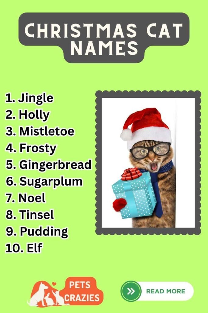 250+ Christmas Cat Names (Seasonal Selections)