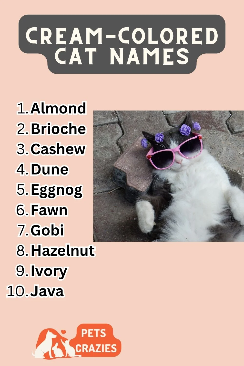 Cream-colored Cat Names List